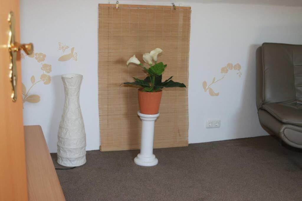 Haus Anke Hébergement de vacances